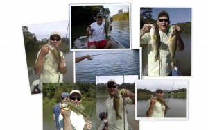 Brazilian Bass