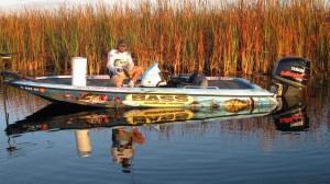 Everglades fly fishing