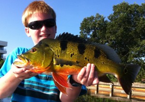 Inclusive peacock bass group fishing trips, corporate bass fishing vacations, Inclusive Florida family fishing trips