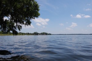 Lake Tarpon