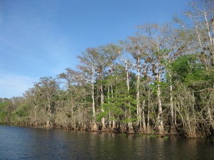 St Johns River