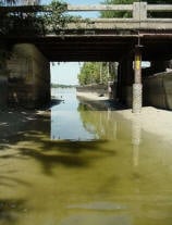 Lake Casnnon canal access in Florida