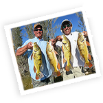 Peacock Bass Fishing trips - Florida Fishing