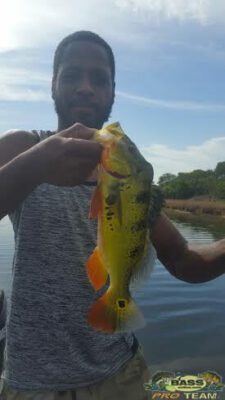 Peacock Bass Fishing In The AeroJet Canal