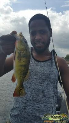 Peacock Bass Fishing In The AeroJet Canal
