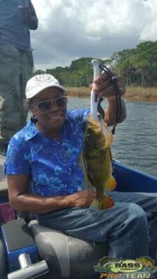 Peacock Bass Fishing In The AeroJet Canal