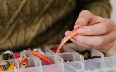 11 Best Summer Lures for Florida Lakes