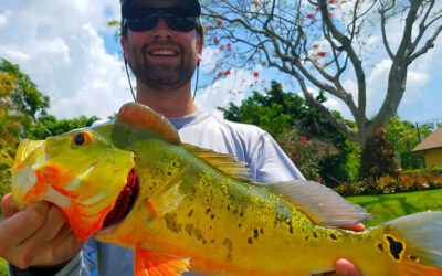 Travelers Explore Business Peacock Bass Fishing Charters in Miami, FL