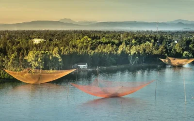12 Must-Know St Johns River Fishing Tips for Anglers