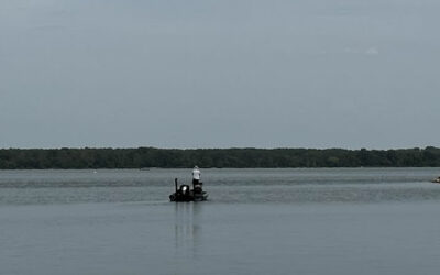 Lake Pickwick Bass Fishing: Top Tips for More Catches