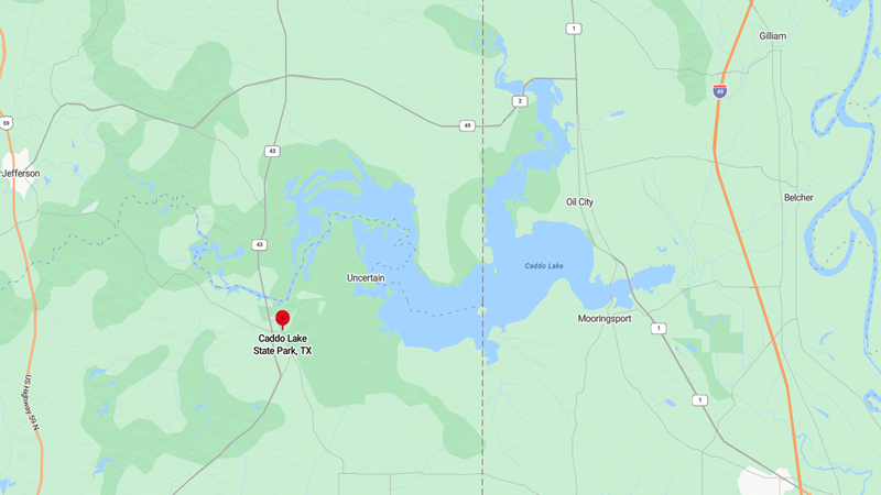 Caddo lake one of Texas lakes east of Dallas