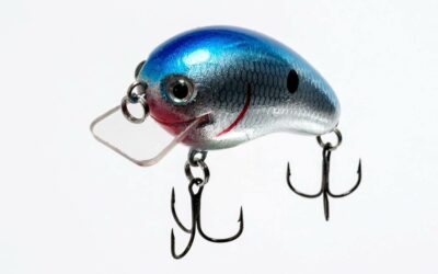 9 Squarebill Crankbait Tactics for Bass Fishing Success