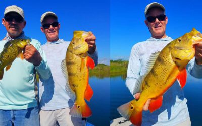 Family Vacation Exotic Fishing for Miami Peacock Bass in Florida