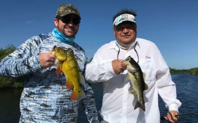 Sherwin Williams Everglades Fishing in South Florida for Bass