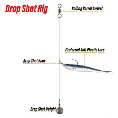 Drop Shot Lures for Bass