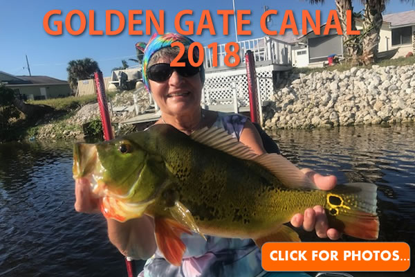 2018 Golden Gate Canal Pictures