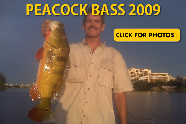 2009 Peacock Bass Pictures