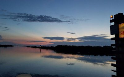 Okeechobee Lake Water Levels