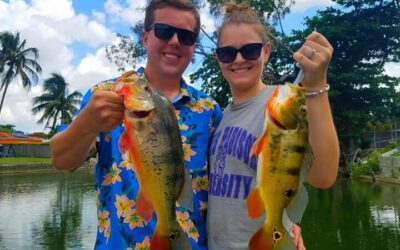 Honeymoon Fishing Charters for Exotic Miami Peacock Bass