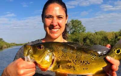 Summer Everglades Bass Fishing in South Florida with Local Experts