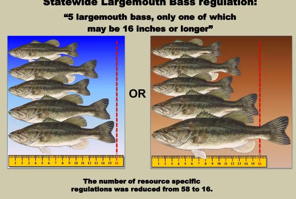 Florida Black Bass Management Plan
