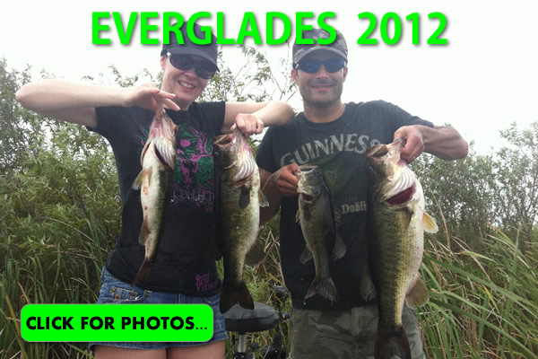 2012 Florida Everglades Pictures