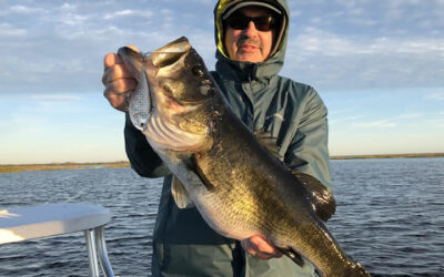 St Johns River: Premier Florida Bass Fishing: Book Tours