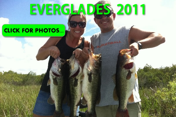 2011 Florida Everglades Pictures