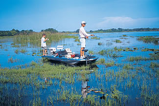 Osceola County website links