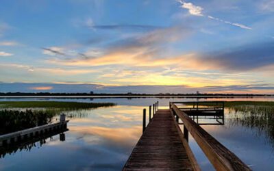 12 Must-Know Winter Haven Chain of Lakes Bass Fishing Tips