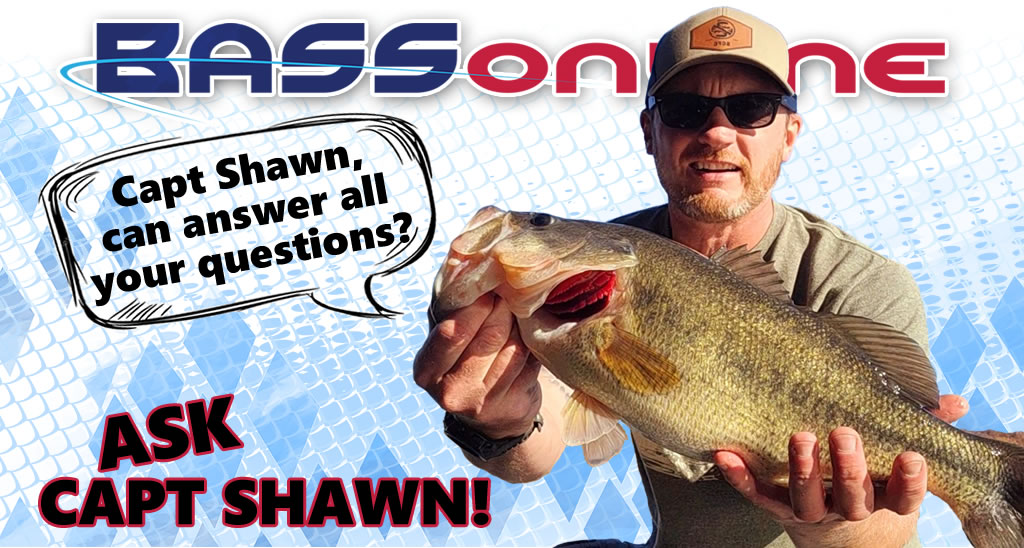 Capt Shawn Questions