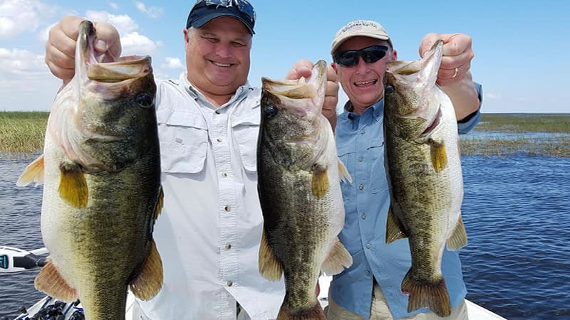 Spotted bass vs largemouth
