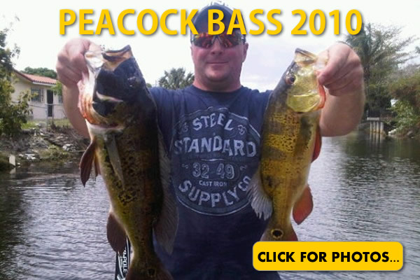 2010 Peacock Bass Pictures