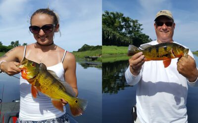 Florida Peacock Bass Charter