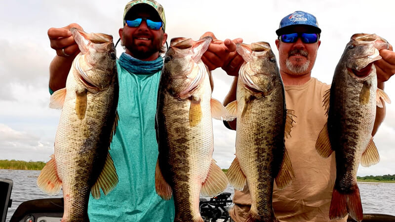 Largemouth bass fishing on Harris Chain of lakes