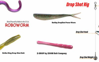 Drop Shot Lures for Bass