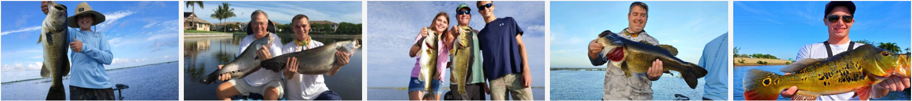 bass fishing images