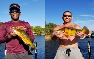 Exotic Bass Fishing Charters in Miami, FL for Peacock Bass