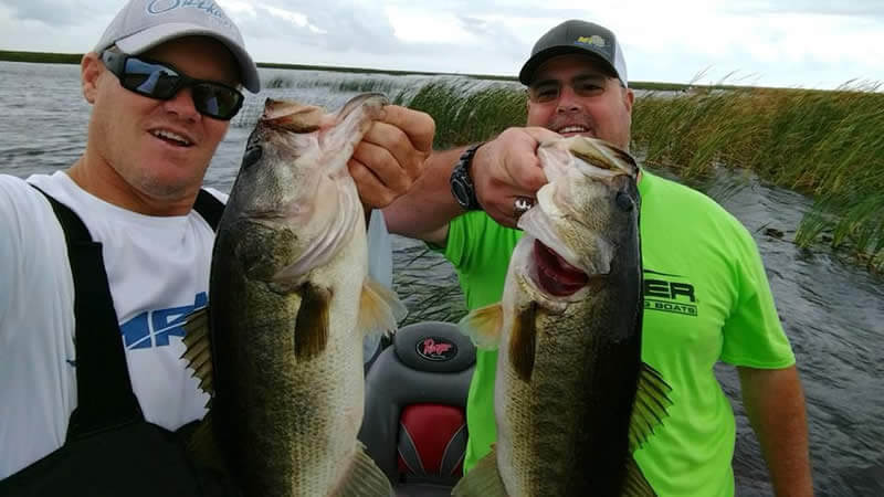 Brian Brown Bio Image 3