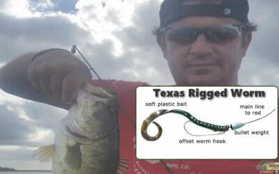 Texas Rigs & Bass Fishing: A Winning Combination