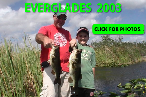 2003 Florida Everglades Pictures
