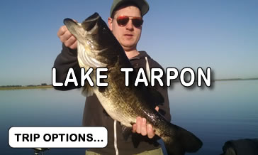 What Is Lake Tarpon Fishing Season? Catch More Fish!