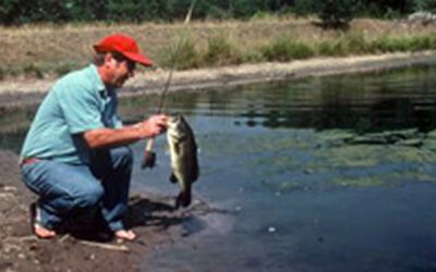Best Bass Lures for Pond Fishing
