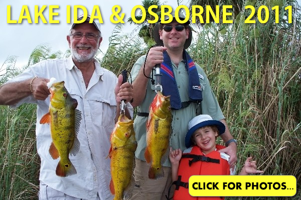 2011 Lake Ida Peacock Bass Pictures