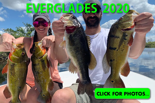 2020 Florida Everglades Pictures