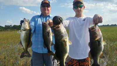 What Is Lake Tarpon Fishing Season? Catch More Fish!