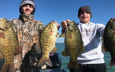 Smallmouth Bass Lures