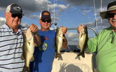 Sparse Grass Bass Fishing for Central Florida Largemouth Bass