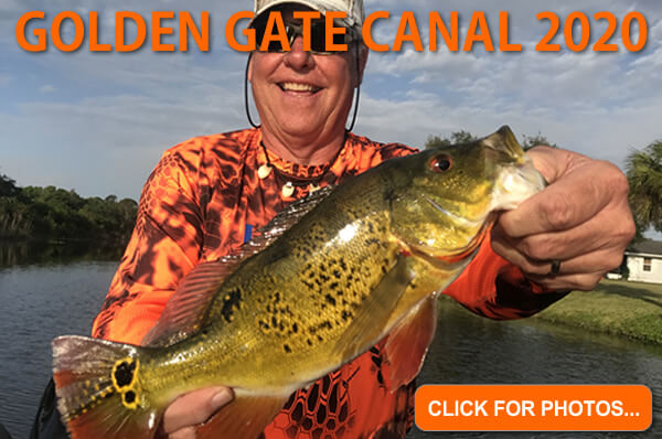 2020 Golden Gate Canal Pictures
