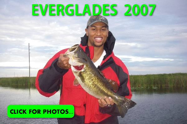 2007 Florida Everglades Pictures